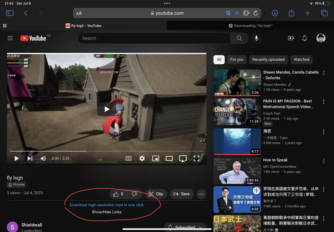 Local YouTube Downloader iOS